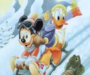Układanka Miki Mouse i Donaldem sanki w dół