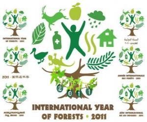 Układanka 2011 Międzynarodowy Rok Lasów