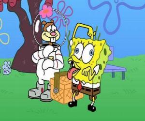 Układanka SpongeBob z Sandy
