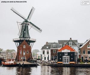 Układanka Adriaan Mill, Haarlem, Holandia