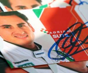 Układanka Adrian Sutil - Force India - Grand Prix Węgier 2010
