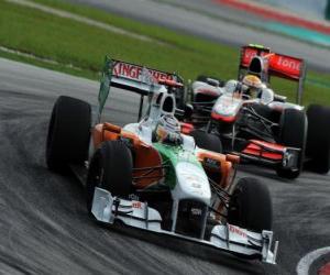 Układanka Adrian Sutil, Sepang 2010