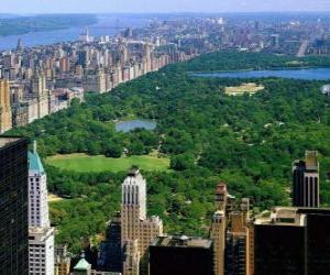 Układanka Aerial view of Central Park, Nowy Jork