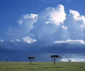 Układanka African Savannah