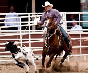 Układanka Amerykański Rodeo