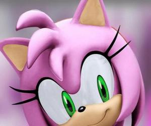 Układanka Amy Rose jest różowy jeż z zielonymi oczami, jest szaleńczo zakochany w Sonic