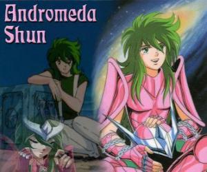 Układanka Andromeda Shun, święty brąz od konstelacji Andromedy