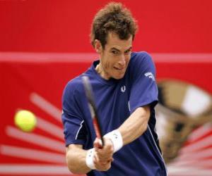 Układanka Andy Murray gotowa do zamachu