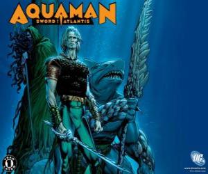 Układanka Aquaman był jednym z założycieli zespołu Liga Sprawiedliwych lub JLA