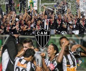 Układanka Atlético Mineiro, Mistrz Copa Libertadores 2013
