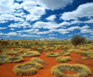 Układanka Australijski outback