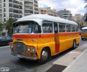 Układanka Autobus Malta