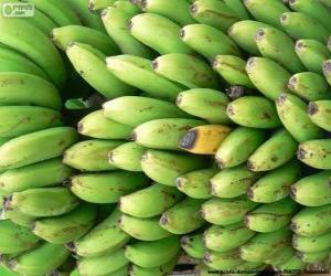 Układanka Bananów zielone i żółte