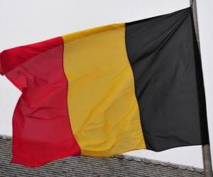 Układanka Banderą Belgii