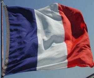 Układanka Banderą Francji