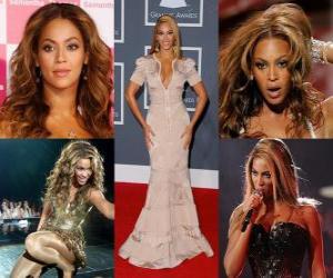 Układanka Beyoncé sukcesie solowych albumów ustanowił ją jako jednego z najbardziej artystów w przemyśle muzycznym