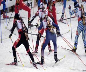 Układanka Biathlon na sporty zimowe połączenia narciarstwa biegowego z strzelectwa sportowego.