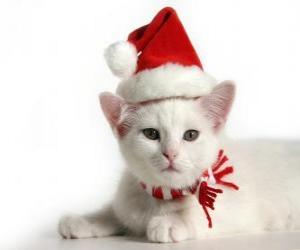 Układanka Biały kot z Santa Claus kapelusze