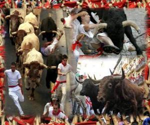 Układanka Bieg byków lub Encierro, Sanfermines. Pamplona, ​​Navarra, Hiszpania. San Fermin festiwal od 6 do 14 lipca