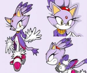 Układanka Blaze the Cat, księżniczką, a jeden z przyjaciół Sonic