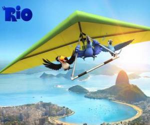 Układanka Blu ara, tukan Rafael Jewel i lotni latające nad miastem Rio de Janeiro