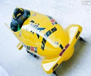 Układanka Bobsleje