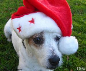 Układanka Boże Narodzenie pies