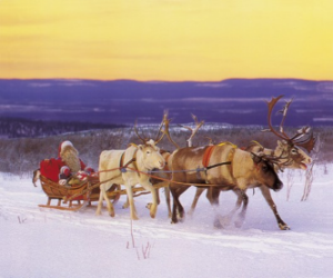 Układanka Boże Narodzenie sanie ciągnione przez renifery i załadowane darami i Santa Claus