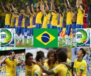Układanka Brazylia Puchar Konfederacji 2013