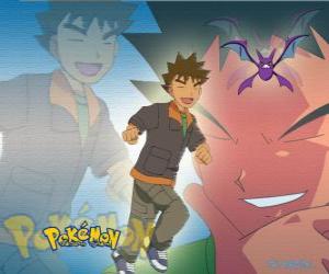 Układanka Brock, początkowo liderem Pewter City Gym (Cyna), specjalizujący się w rock-Pokémon typu.