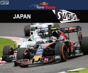 Układanka Carlos Sainz Jr, Grand Prix Japonii 2016