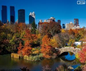 Układanka Central Park, Nowy Jork