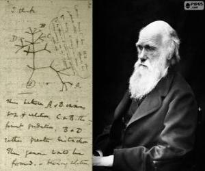 Układanka Charles Darwin (1809-1882), brytyjski biolog