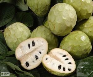 Układanka Cherimoya