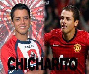 Układanka Chicharito