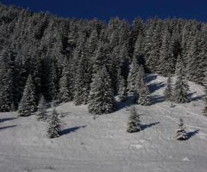 Układanka Choinki w Snowy krajobraz