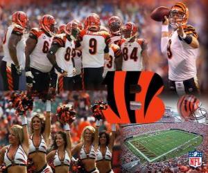 Układanka Cincinnati Bengals