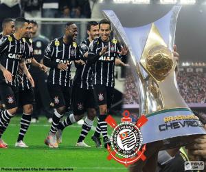 Układanka Corinthians, Brasileirão 2015