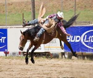 Układanka Cowboy koniu hodowli w rodeo