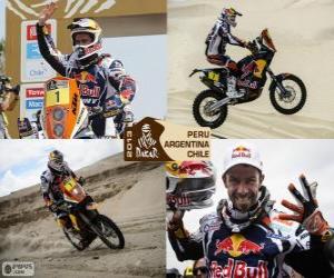 Układanka Cyril Despres, Dakar 2013