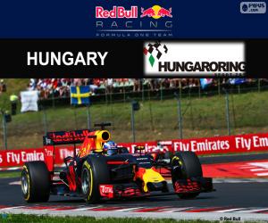Układanka Daniel Ricciardo, GP Węgrzech 2016