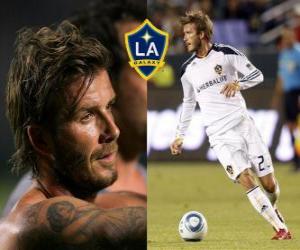 Układanka David Beckham, angielski piłkarz. Obecnie gra w LA Galaxy.