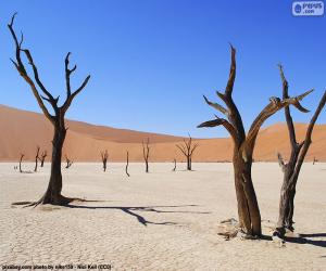 Układanka Deadvlei, Namibia