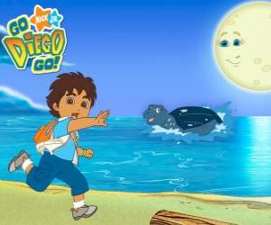 Układanka Diego na plaży i żółwia morskiego w wodzie