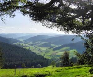 Układanka Dolina w Schwarzwald, Niemcy