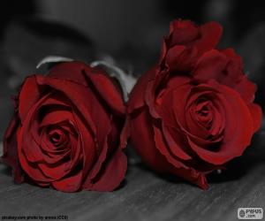 Układanka Dwie Róże dla swojej matki