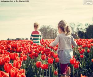 Układanka Dziewczyny, między tulipany