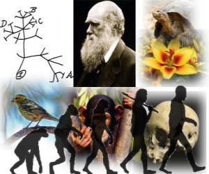 Układanka Dzień Darwina, Charles Darwin urodził się 12 lutego 1809 roku. drzewo Darwina, pierwszy plan jego teorii ewolucji