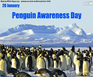 Układanka Dzień Świadomości Pingwinów