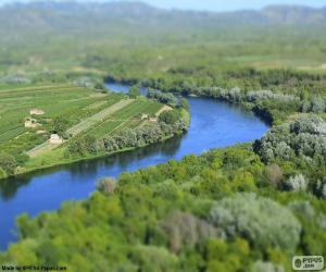 Układanka Ebro, Tarragona